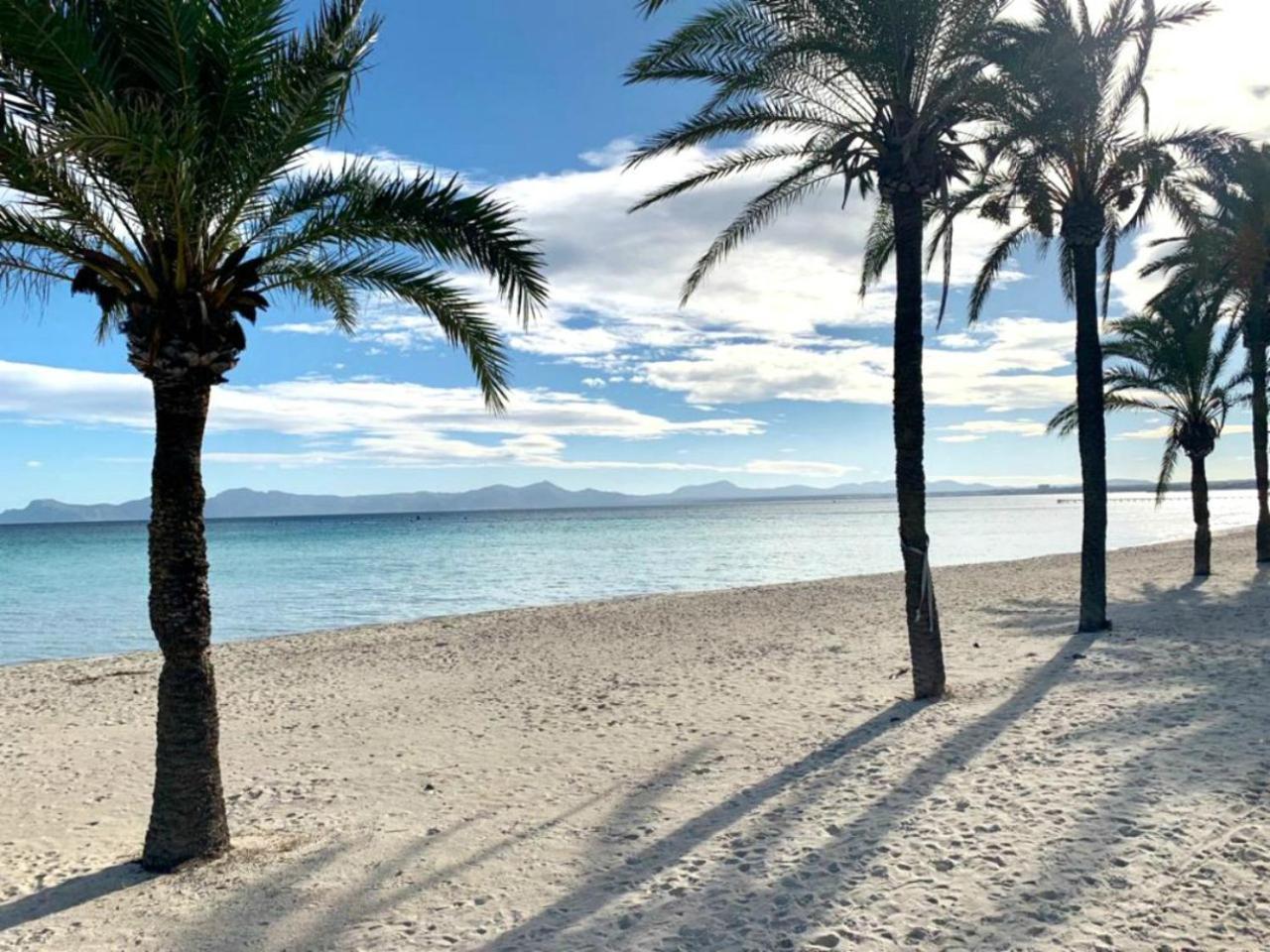 El Paraiso الكوذيا المظهر الخارجي الصورة